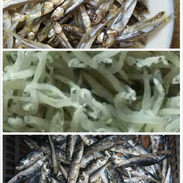 银鱼干包装