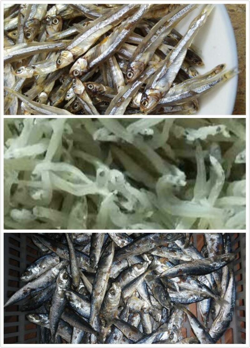 银鱼干包装
