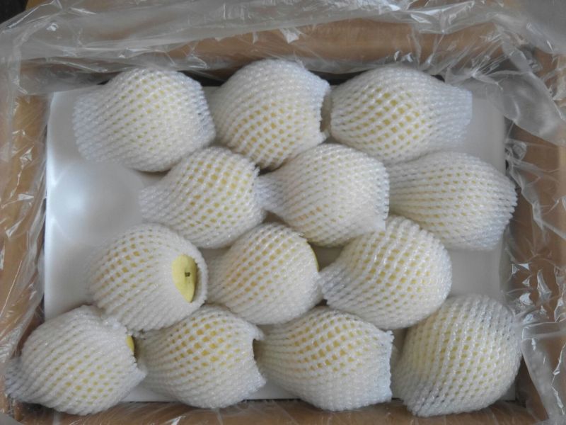 皇冠梨250~300g纸袋