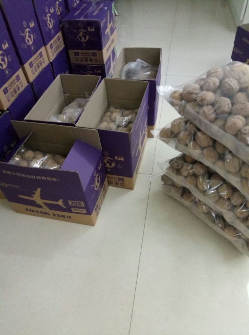纸皮核桃去皮干