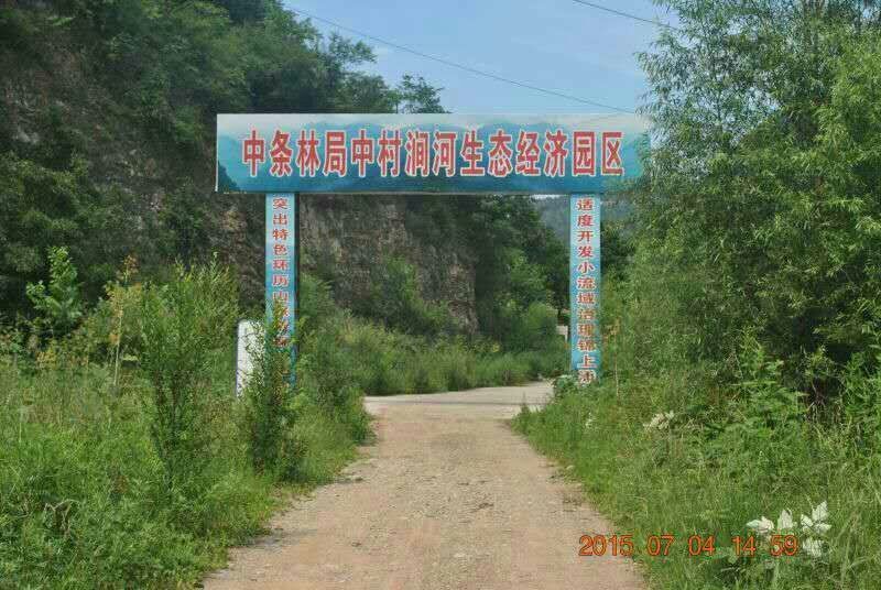 干木耳特级