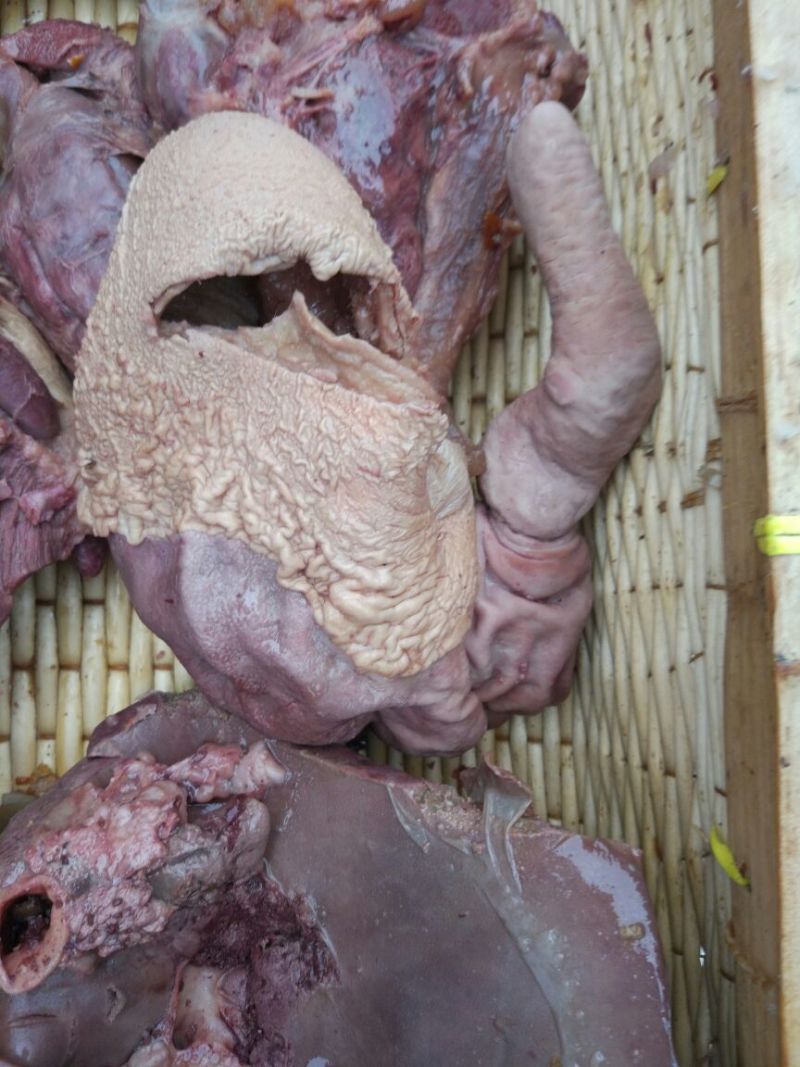 驴肉鲜货