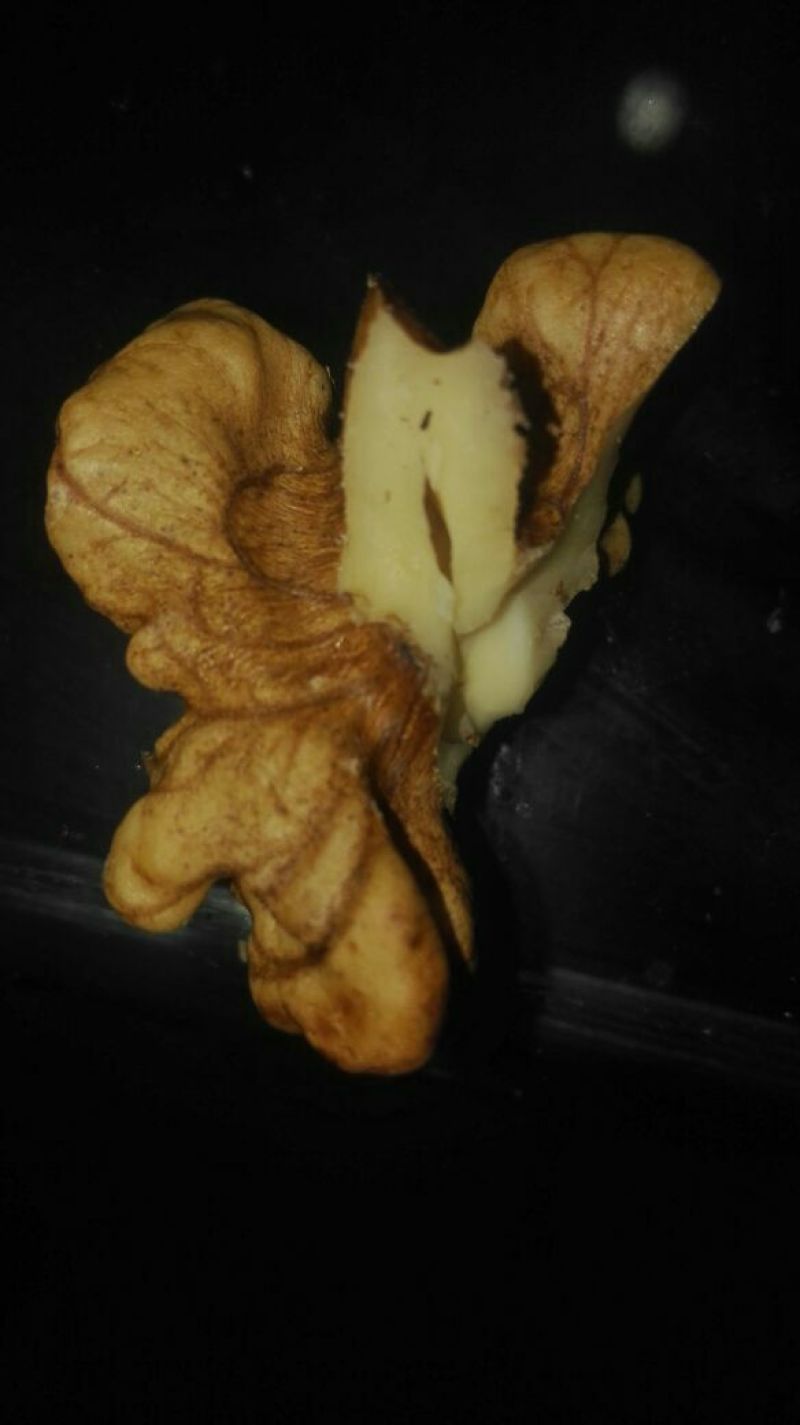 薄皮核桃30mm以上去皮