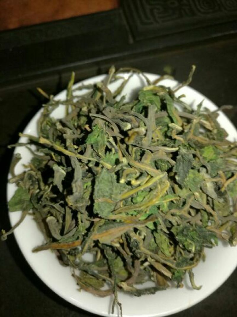 种苗