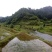茶油