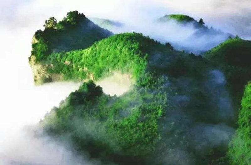 宣汉县巴山大峡谷农家土蜂蜜结晶蜜蜂蜜高山蜂蜜高山蜂蜜