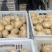 土豆中薯五号
