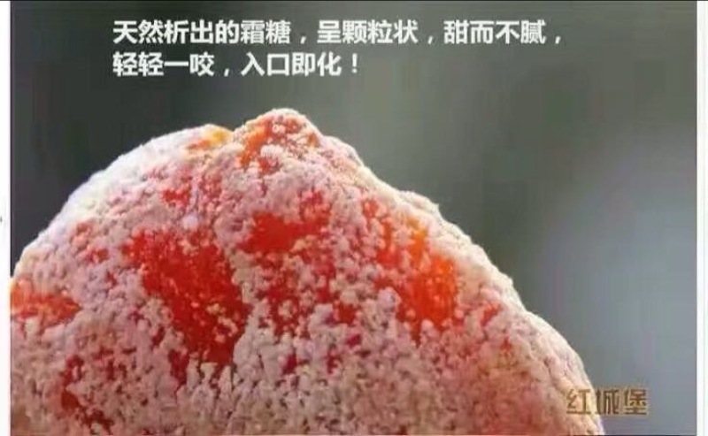 柿饼1~2两