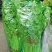 基地直供带泥小香芹菜45cm以上颜色绿嫩，农户地里直供