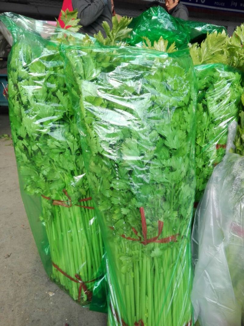 基地直供带泥小香芹菜45cm以上颜色绿嫩，农户地里直供