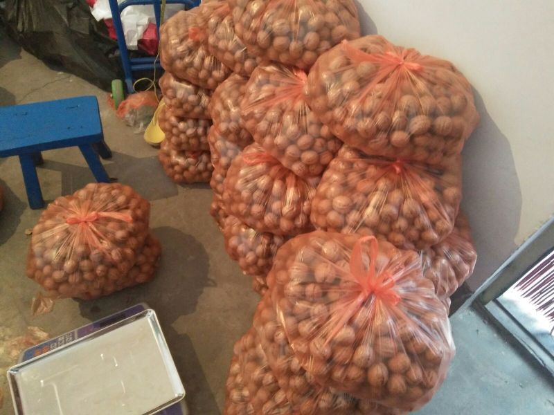 香玲核桃30mm以上去皮