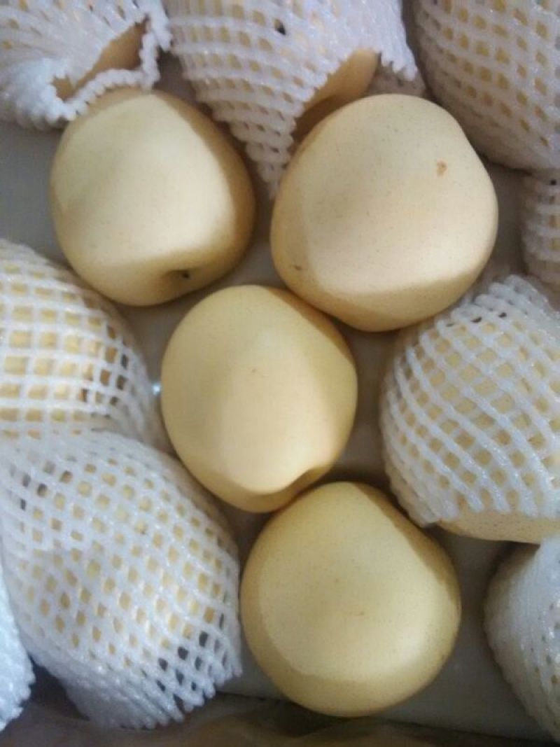 皇冠梨250~300g纸箱