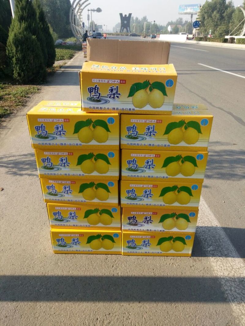 鸭梨膜袋