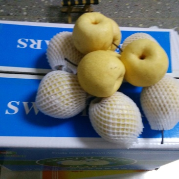 贡梨纸加膜350~400g