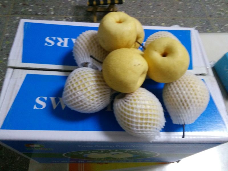 贡梨纸加膜350~400g