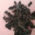 干木耳一级