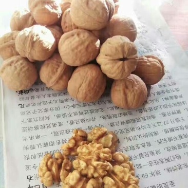 纸皮核桃去皮干