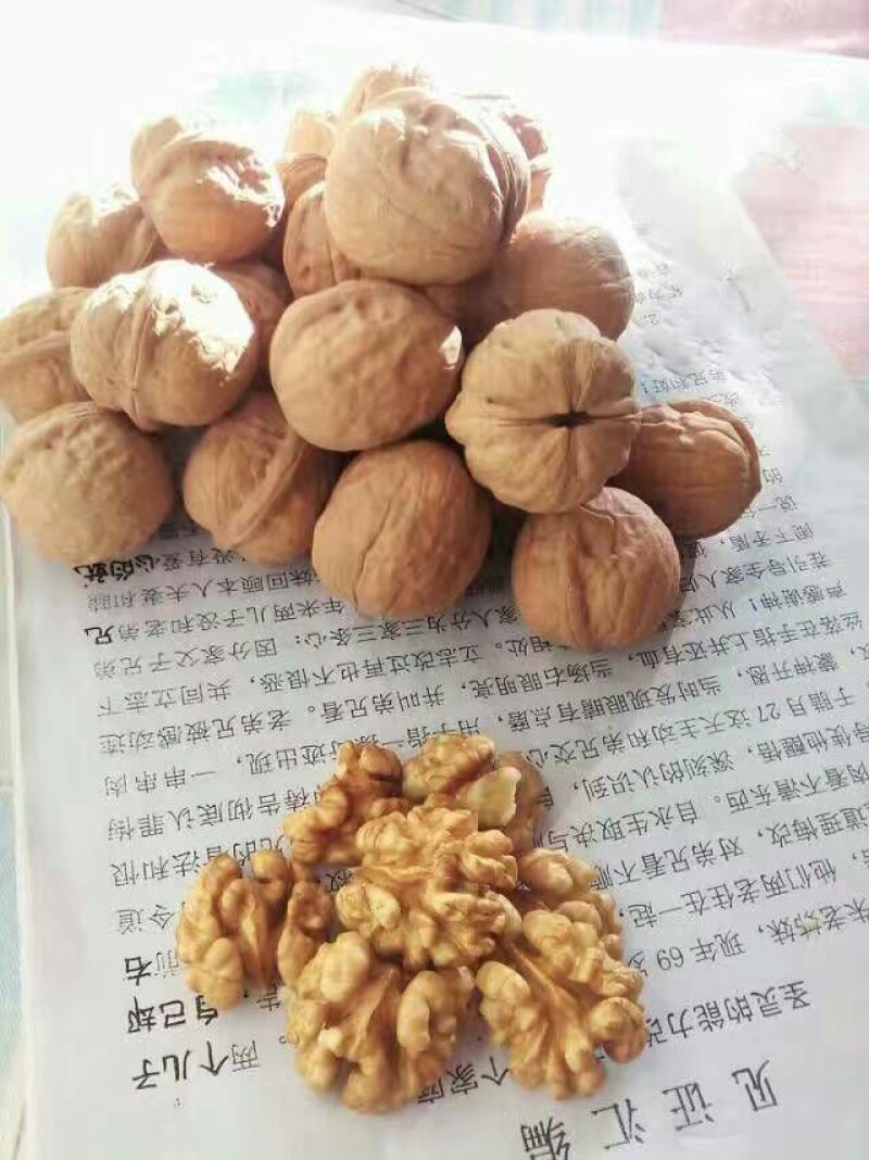 纸皮核桃去皮干