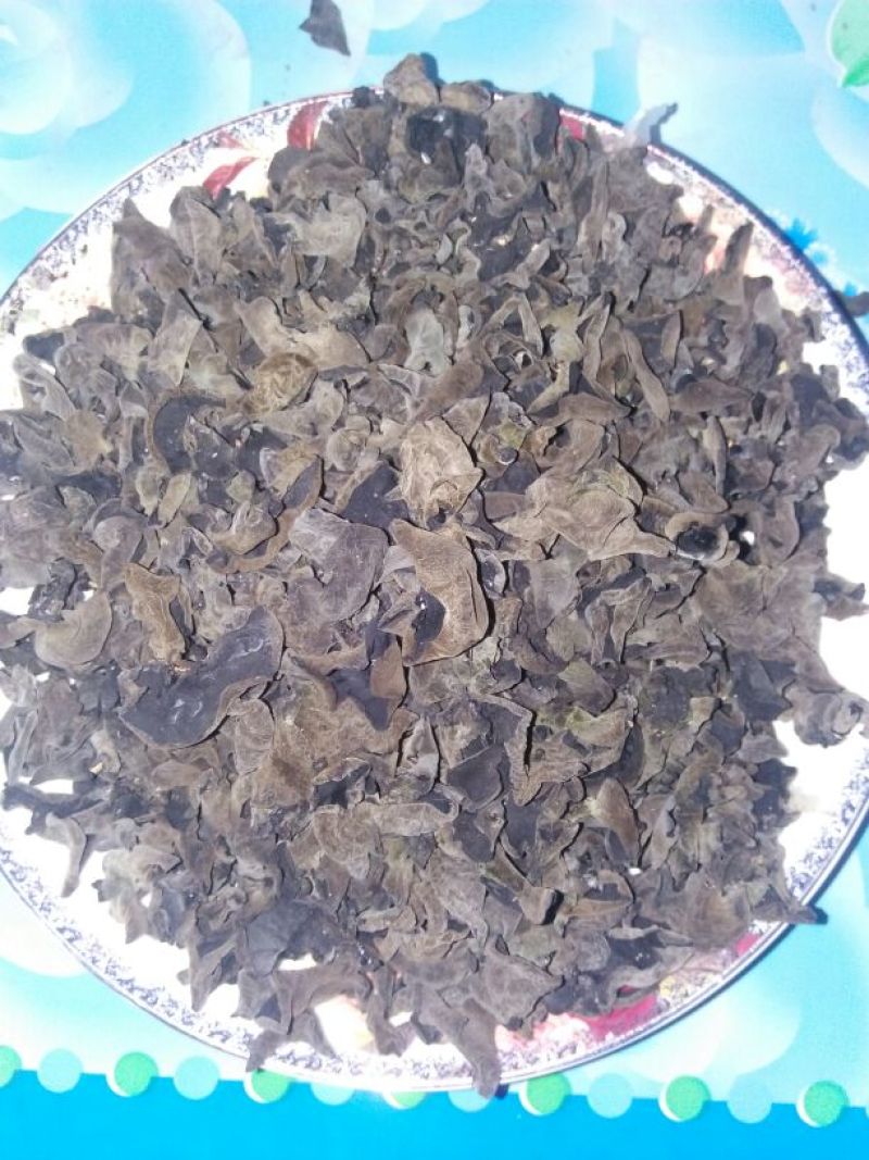 干木耳一级