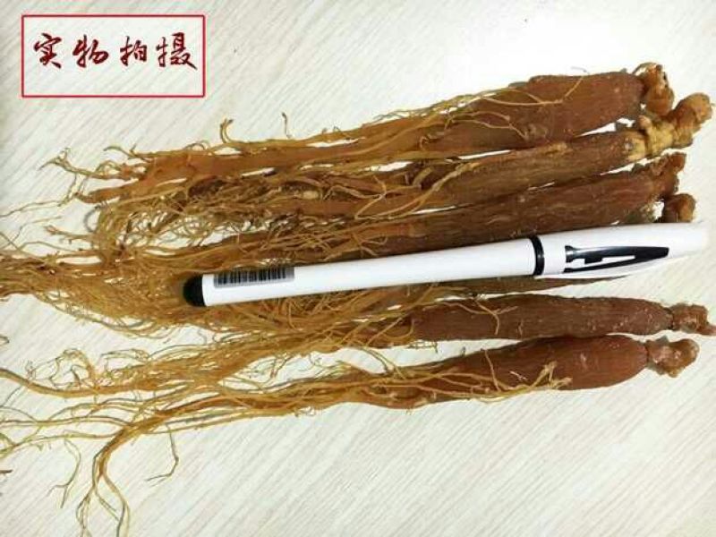 东北红参整支无糖人参长白山红参片无熏制高丽参全须红参