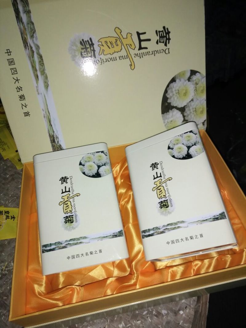 菊花茶开花