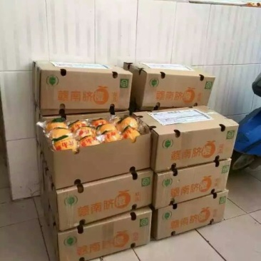 赣南脐橙