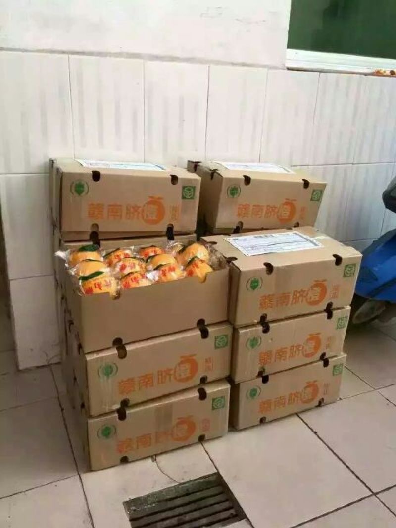 赣南脐橙