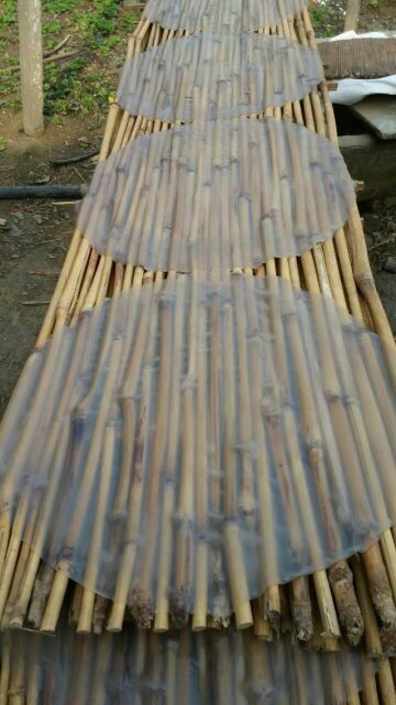 红薯粉皮散装
