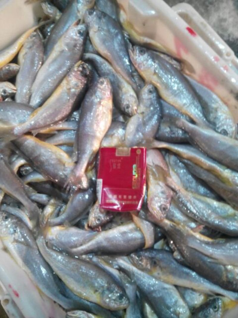 水产