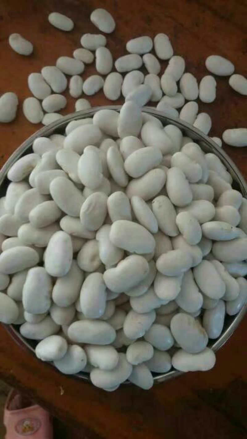 白豆