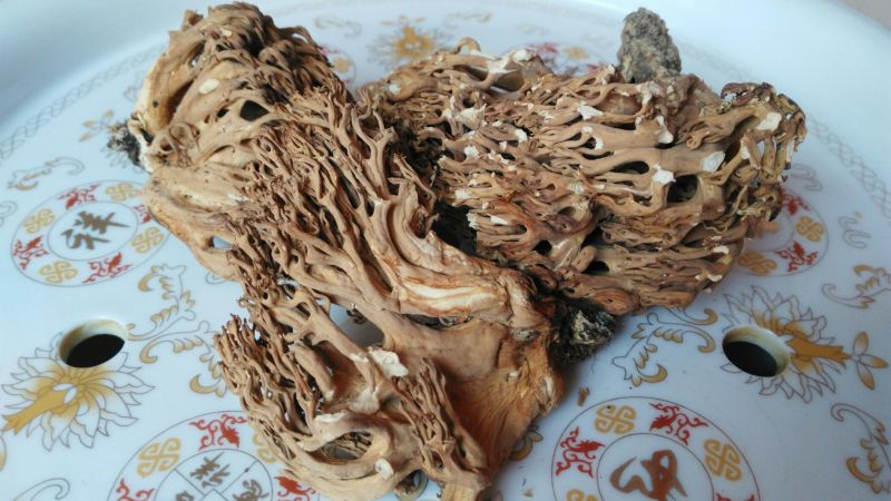珊瑚菌鹿茸菇野生菌干货