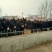 肉驴100~200斤