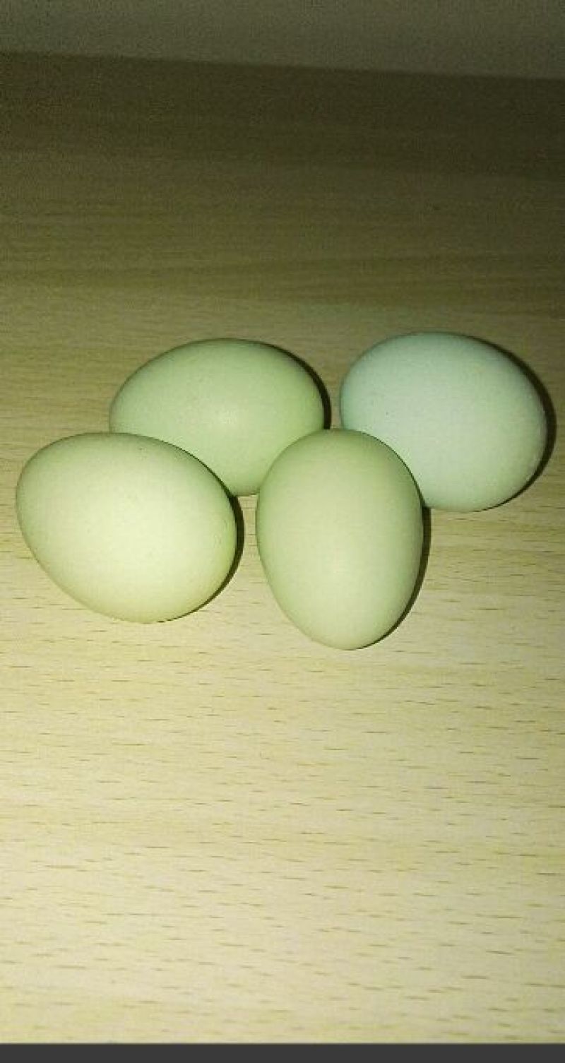 土鸡蛋食用40~50g