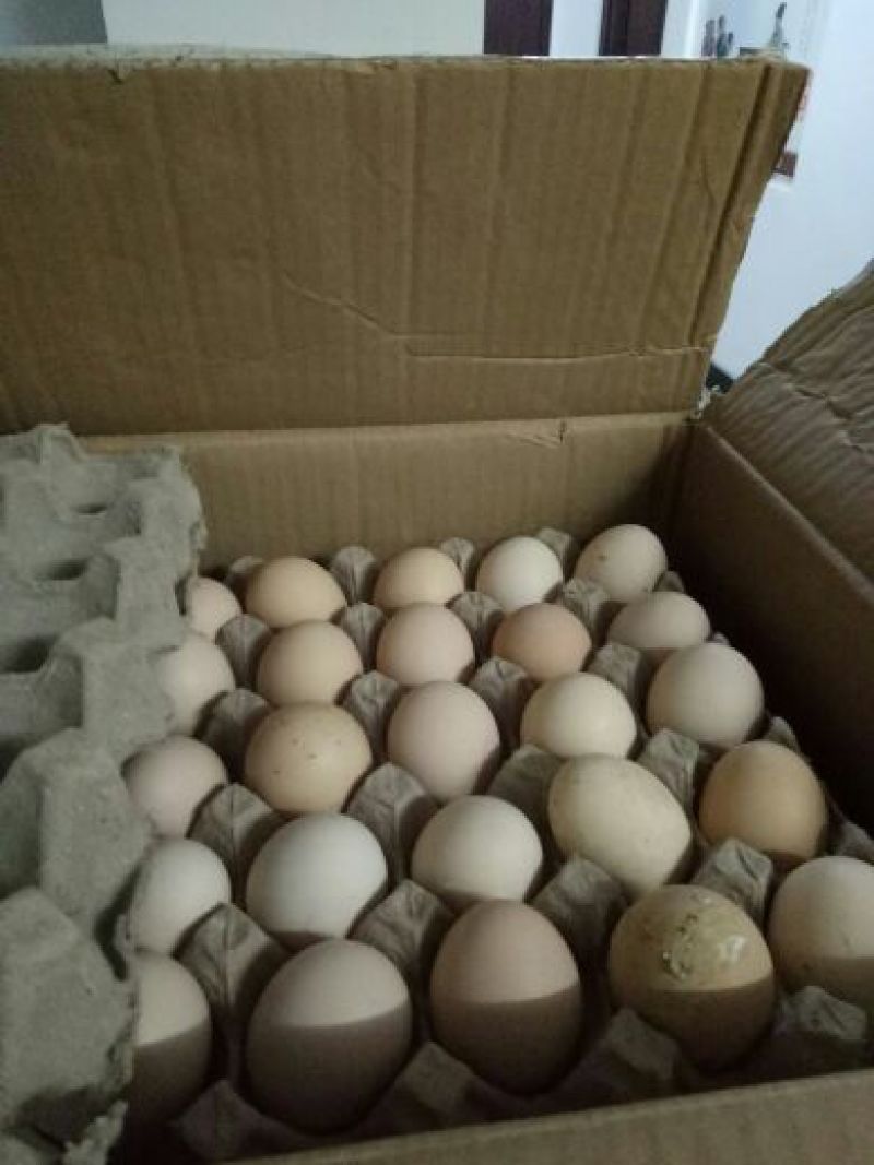 粉蛋食用50~60g