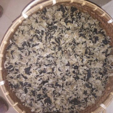干木耳一级