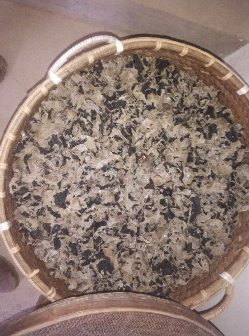 干木耳一级