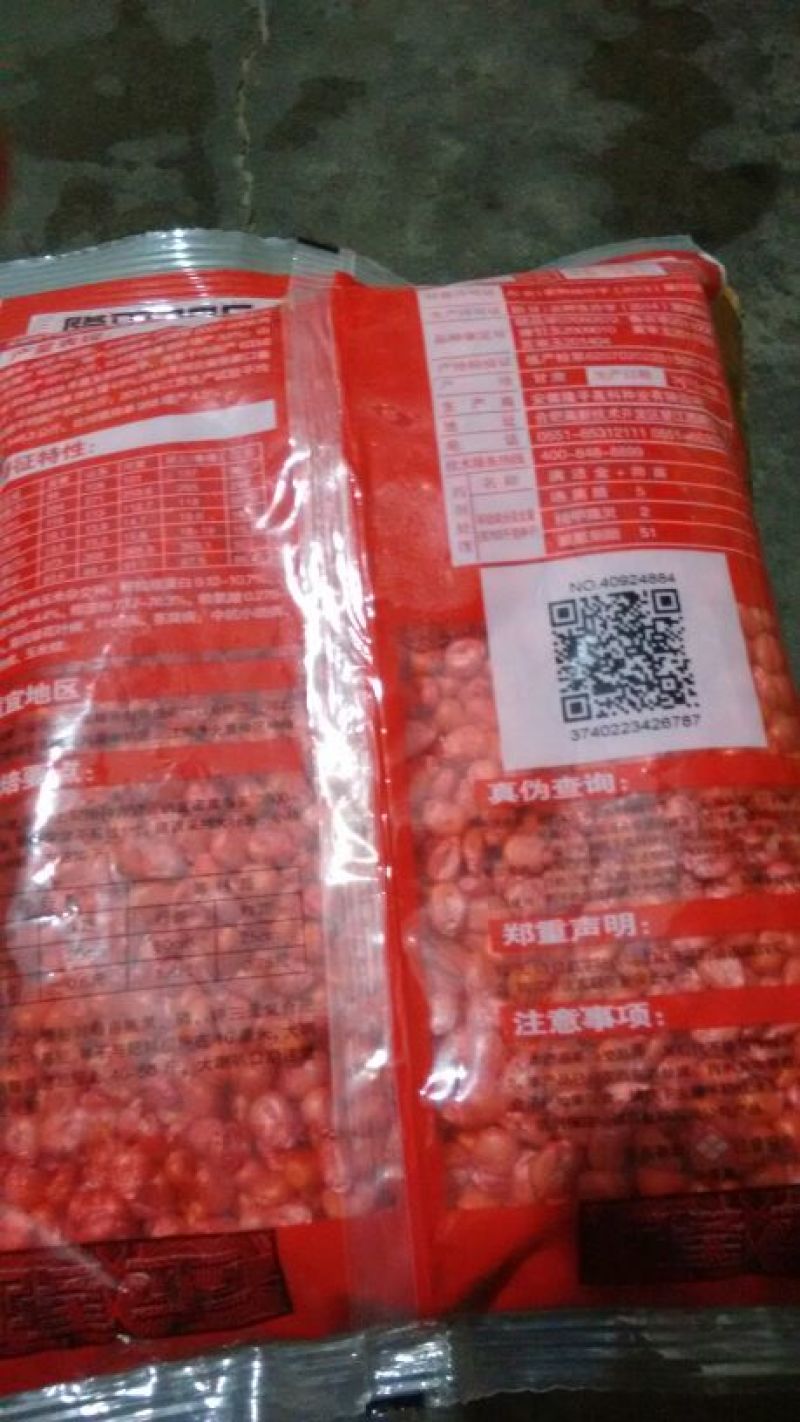 玉米种子