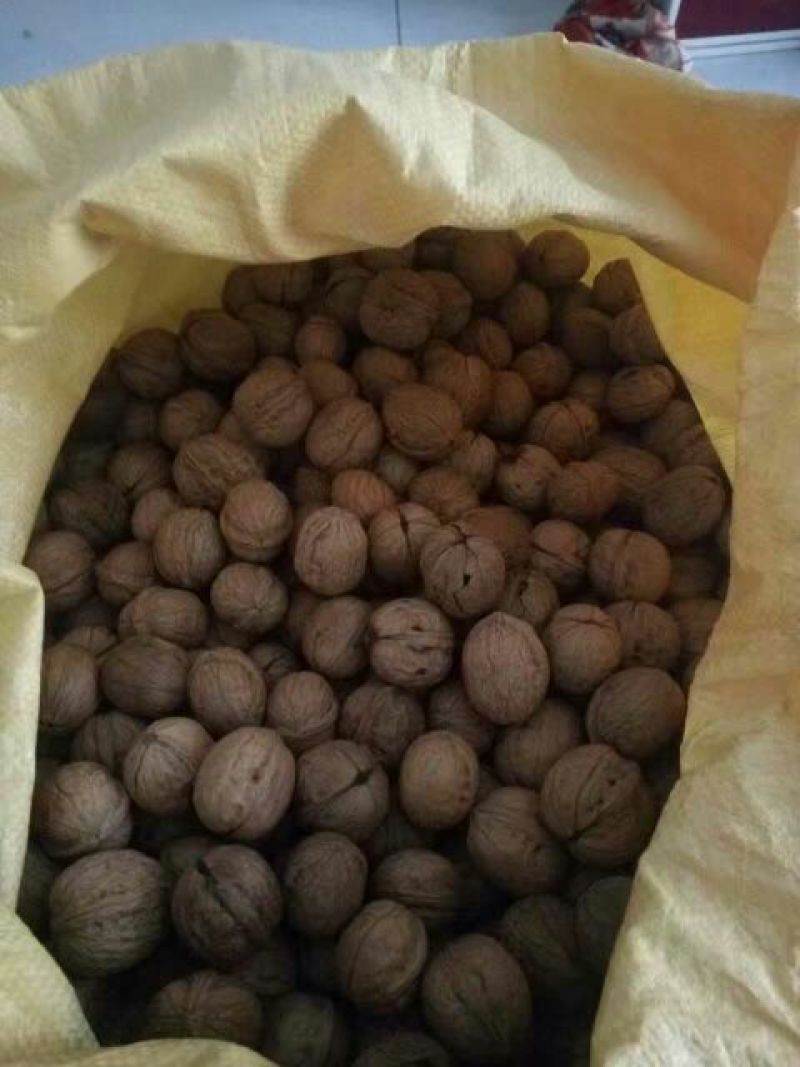 薄皮核桃去皮干
