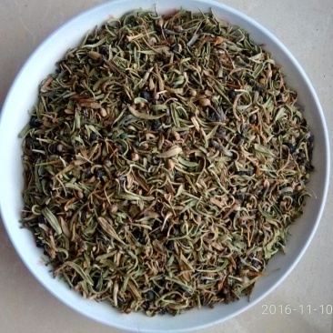枸杞叶茶特级