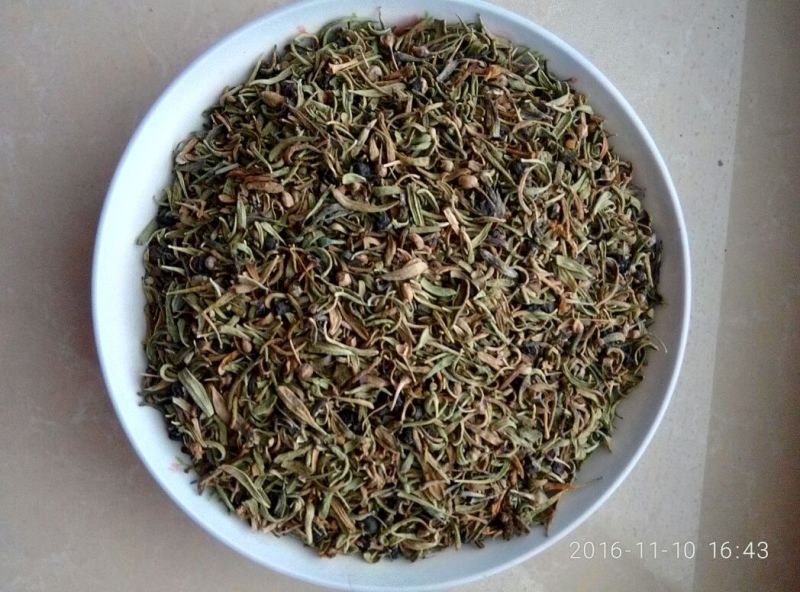 枸杞叶茶特级