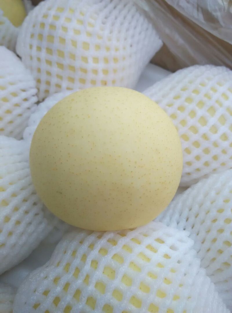 皇冠梨300~350g纸箱