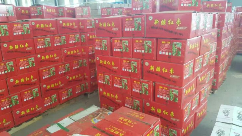 大量库存红枣皮皮枣厂家新货电商平台直播带货【诚信商家】