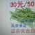 安吉白茶