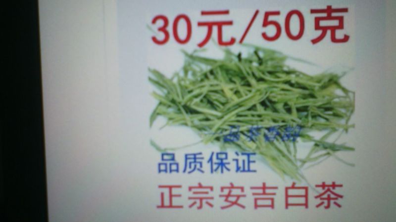 安吉白茶