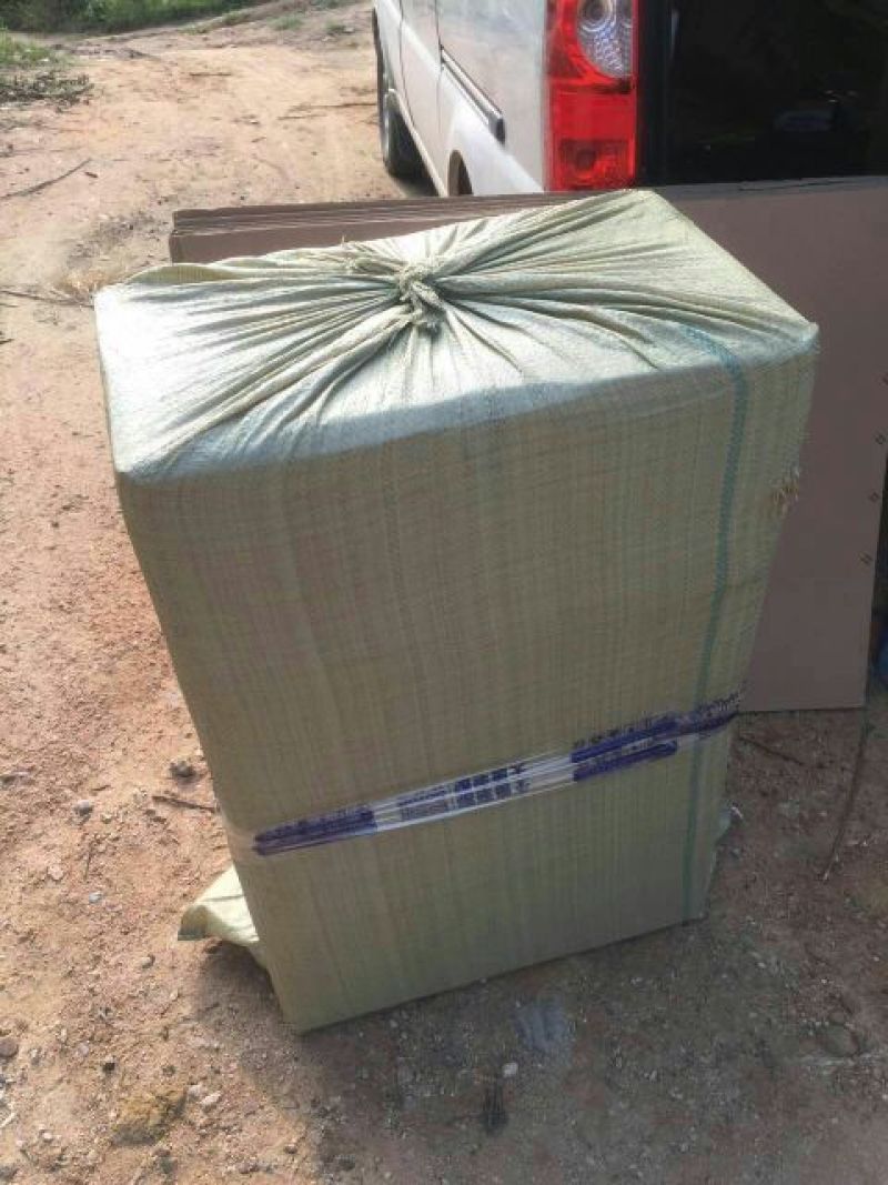 红颜草莓苗10~20cm