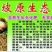 山核桃