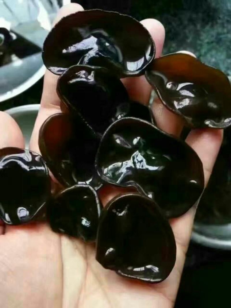 黑木耳一级