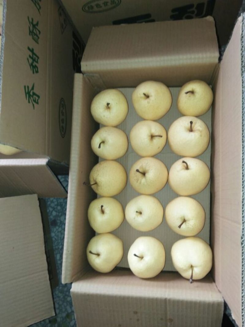 蒲城酥梨350~400g纸箱