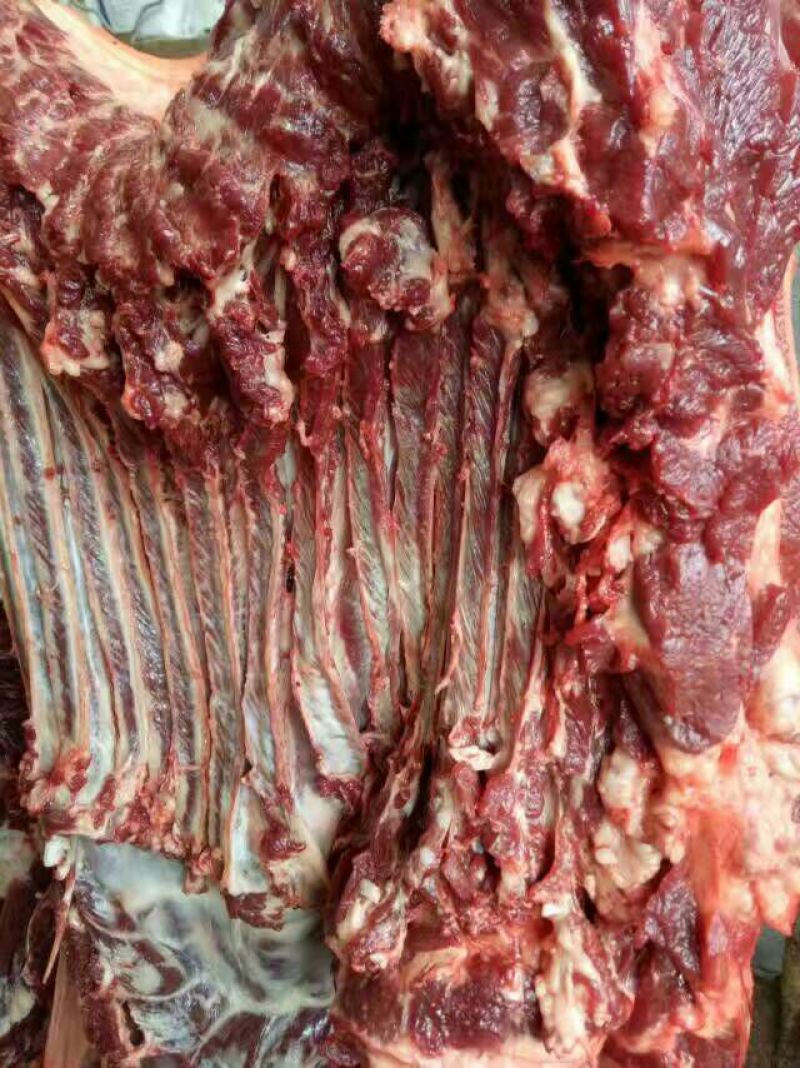 驴肉鲜货