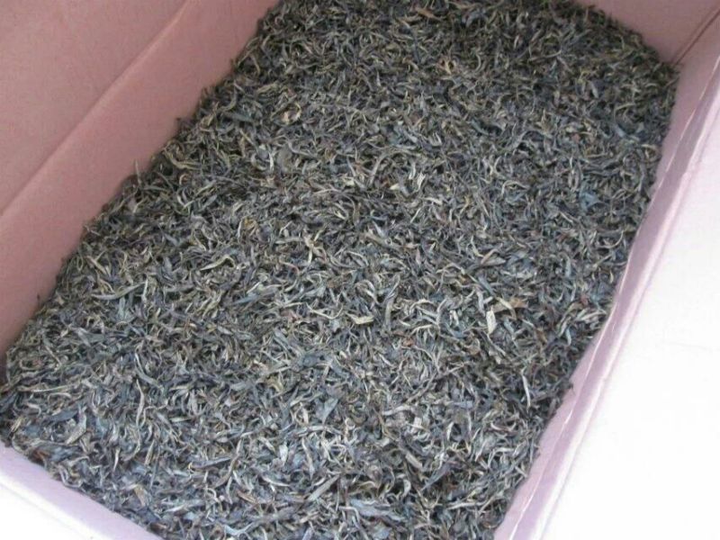 百年大树茶